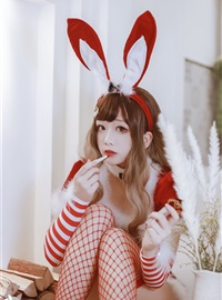 Sun Nai Jiao C35.006 Christmas rabbit(12)